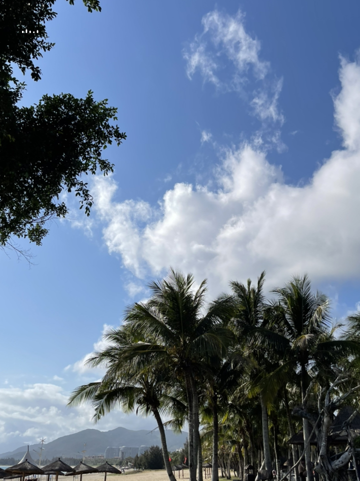 探寻海南，热带天堂之旅的绝美篇章