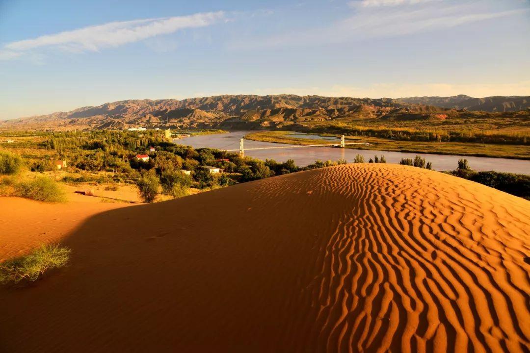 宁夏风情·枸杞香韵