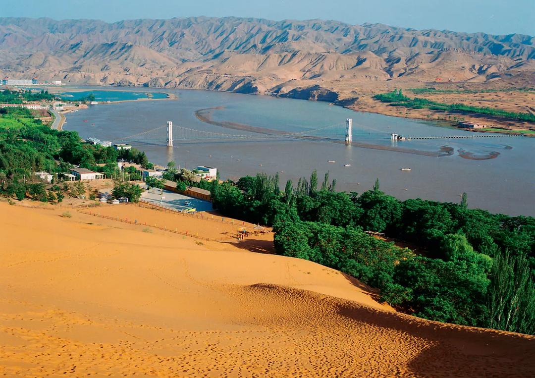 宁夏风情·枸杞香韵